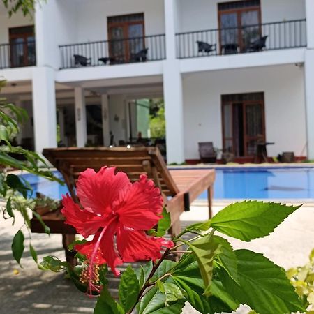 Amelia Resort Sigiriya Exterior photo
