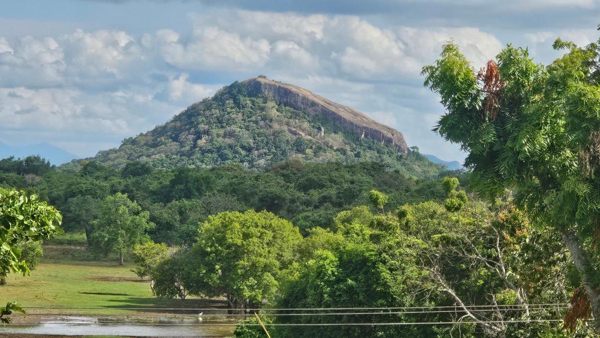 Amelia Resort Sigiriya Exterior photo