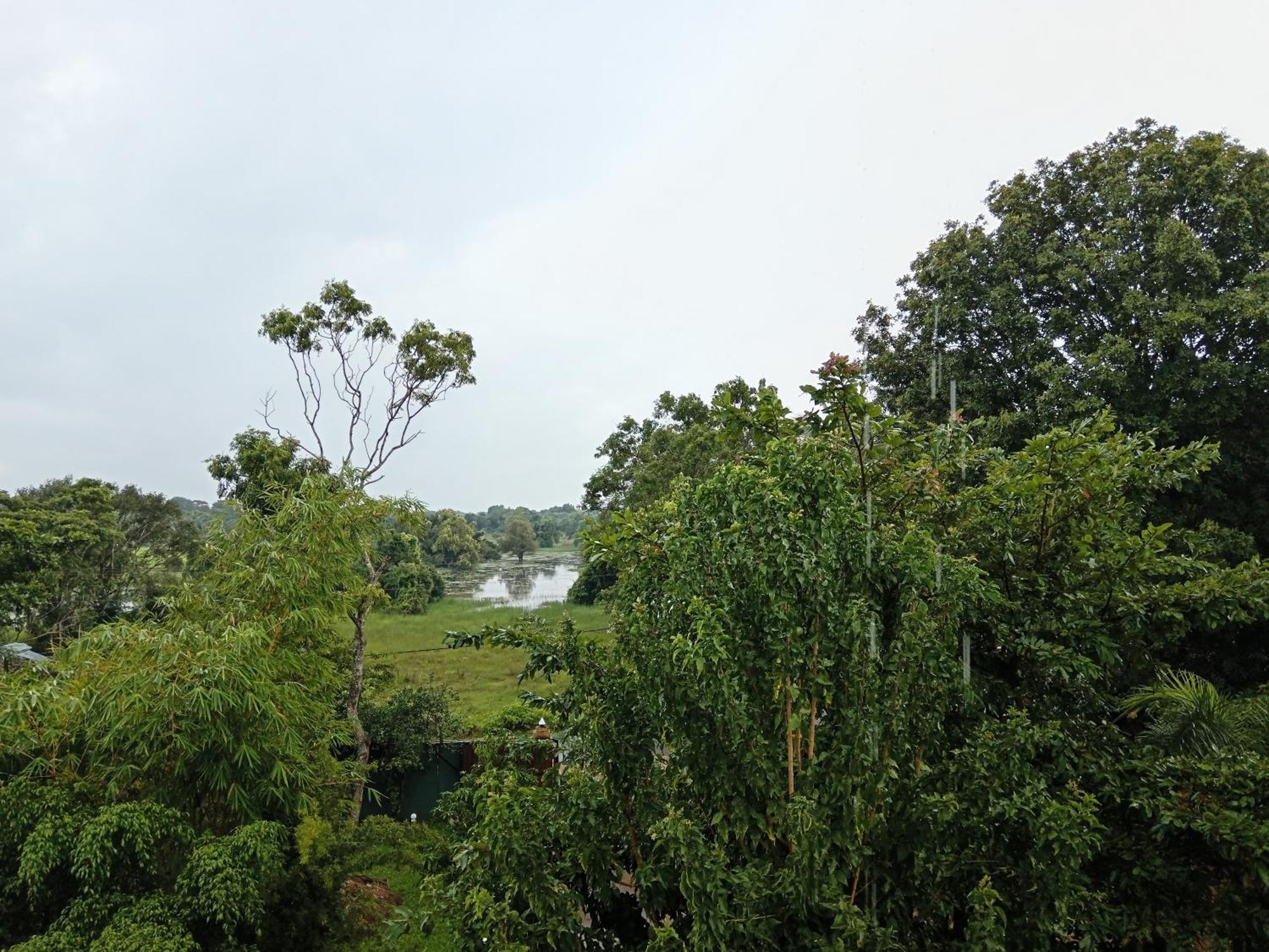 Amelia Resort Sigiriya Exterior photo