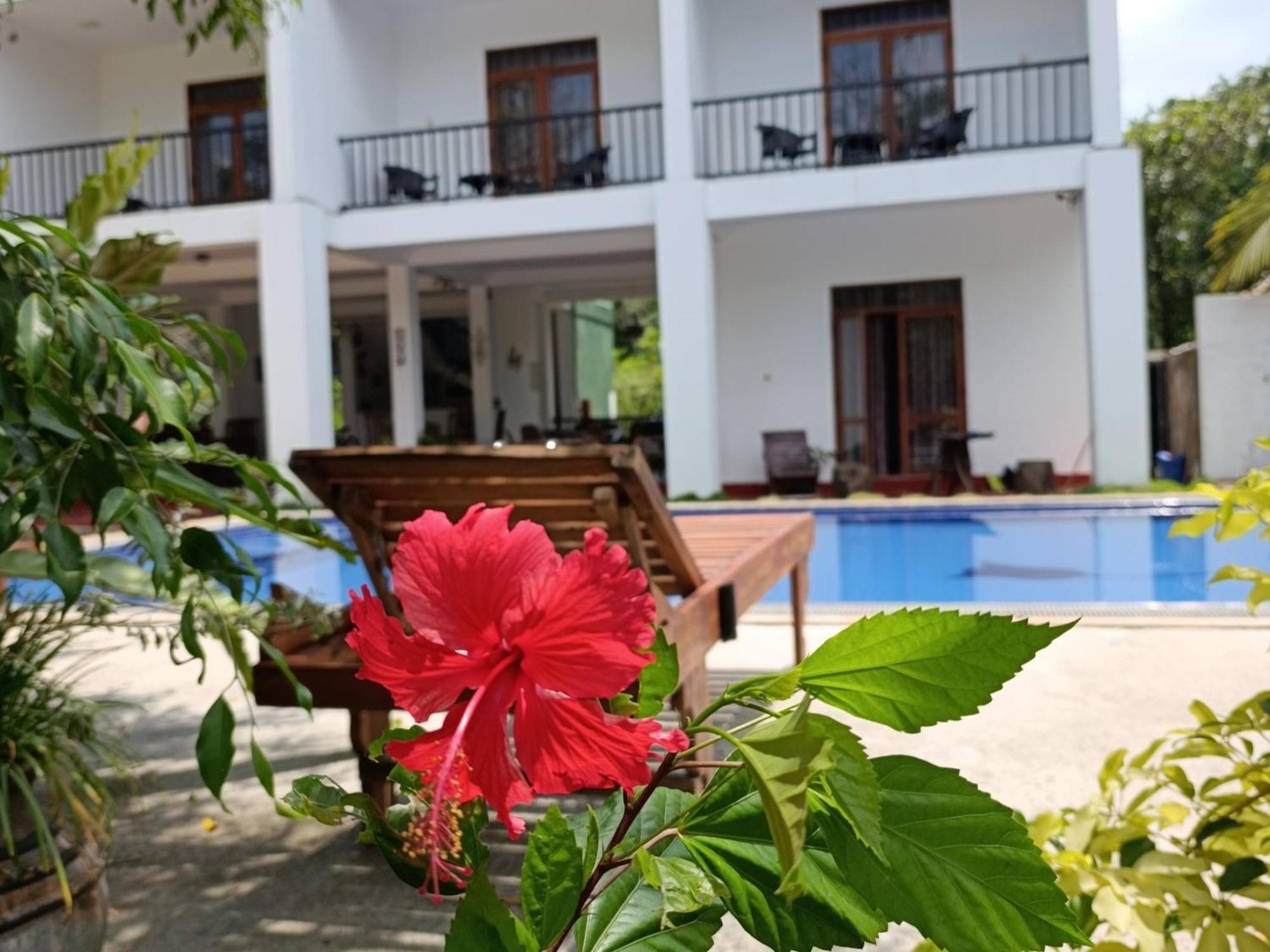 Amelia Resort Sigiriya Exterior photo