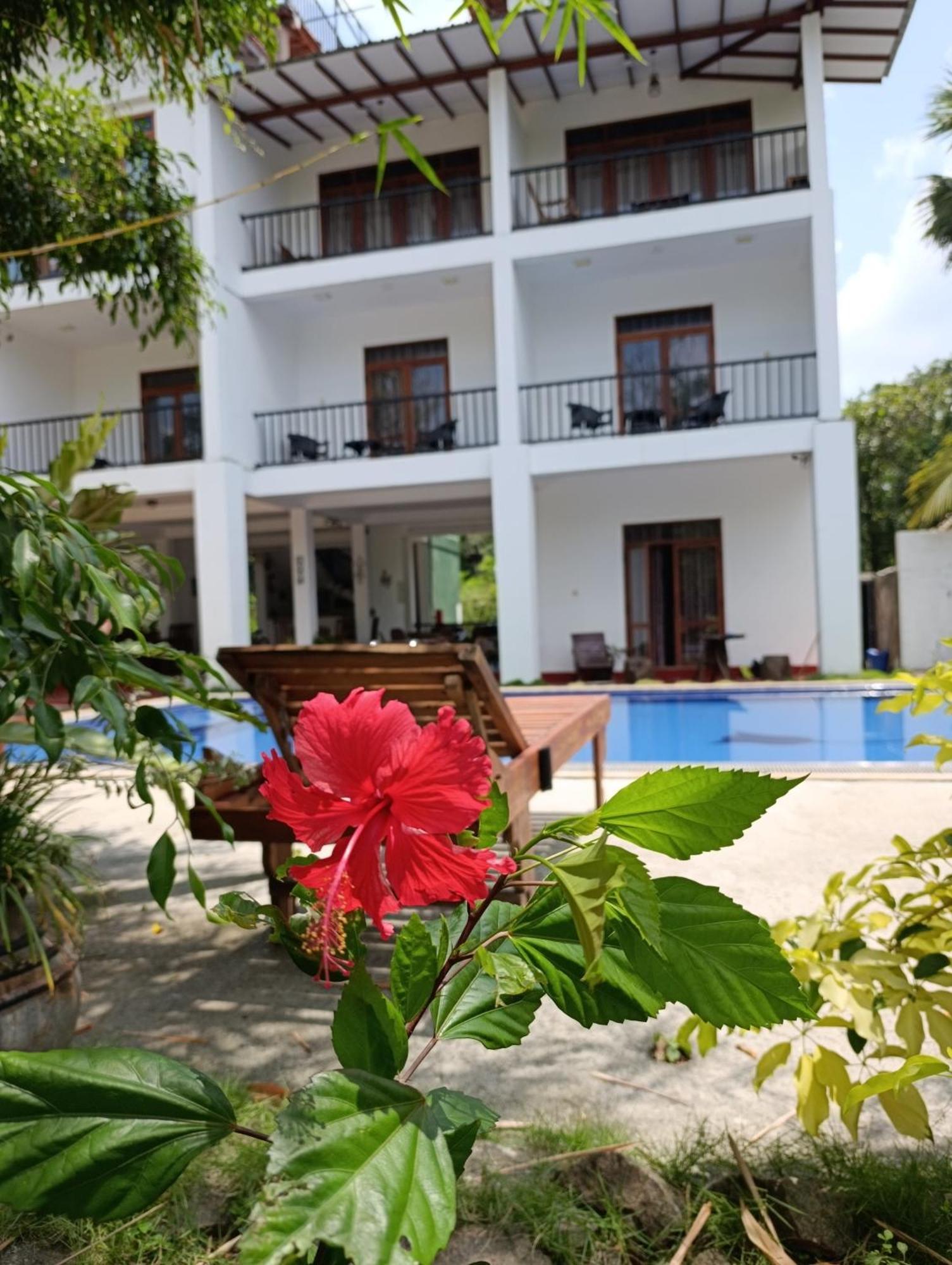 Amelia Resort Sigiriya Exterior photo