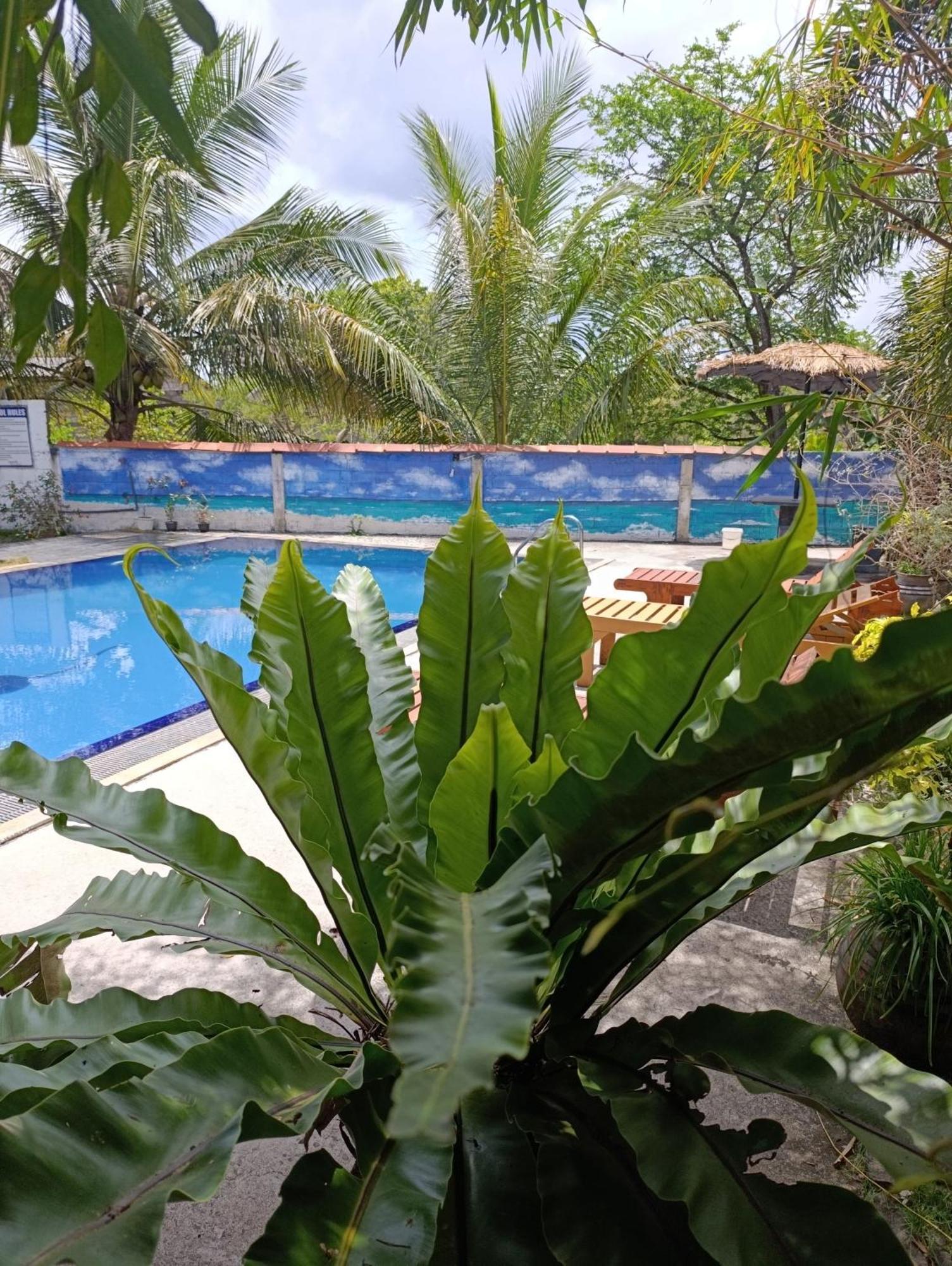 Amelia Resort Sigiriya Exterior photo